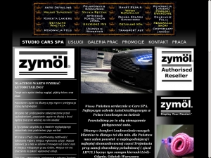 Usługi myjące i czyszczące dla Twojego samochodu
